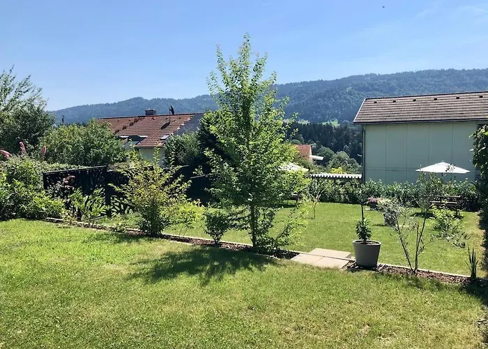 Bodenseenaehe Und Pfaenderblick