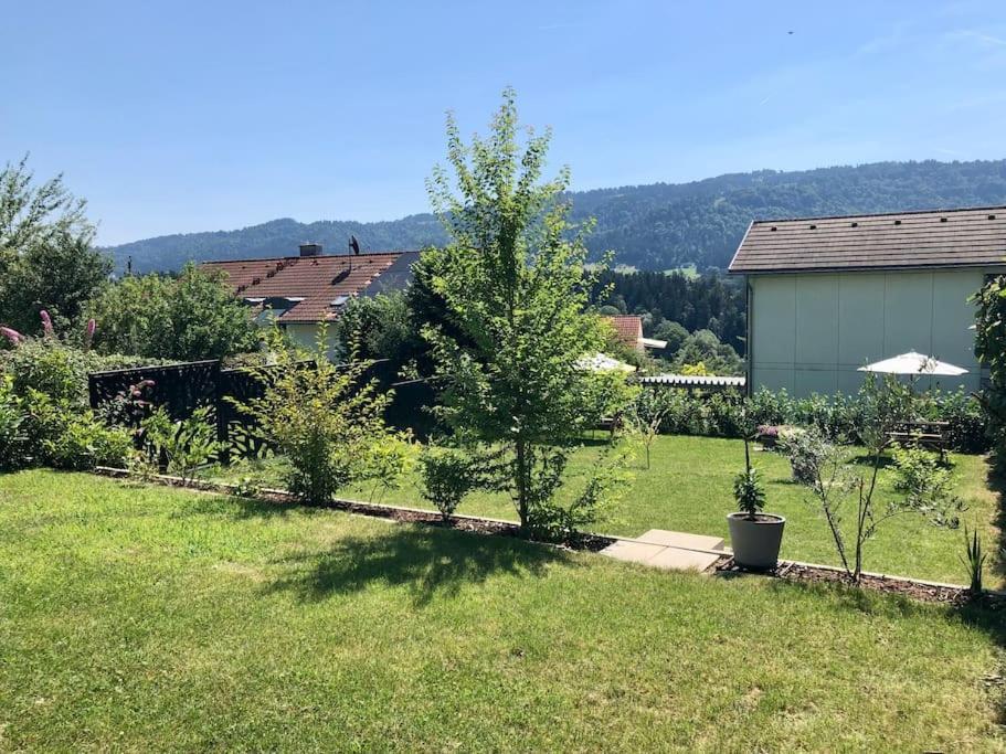 Bodenseenaehe Und Pfaenderblick